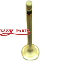 VALVE, INLET