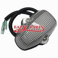 LAMP, ROOF ASSEMBLY LH