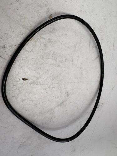 O RING - FUEL FILTER PLUG SEAL
