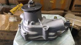 WATER PUMP ASSEMBLY