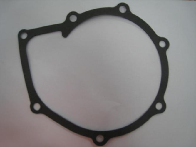 GASKET - WATER PUMP MOUNT