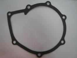 GASKET - WATER PUMP MOUNT