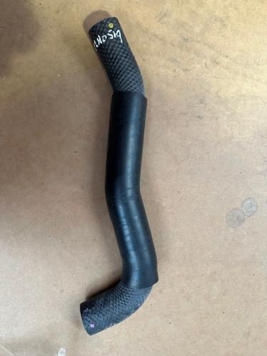 HOSE, RADIATOR BOTTOM