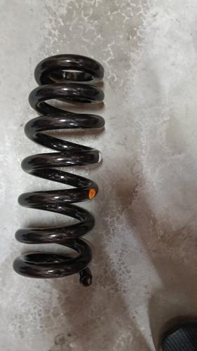 COIL SPRING - FRONT RH
