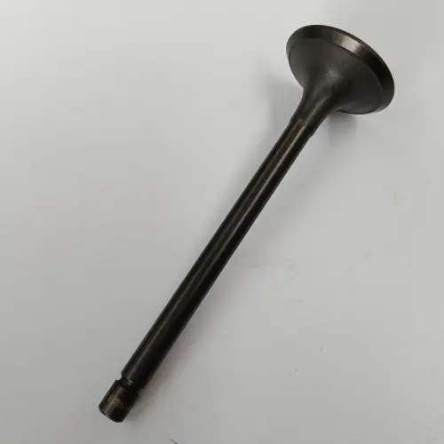 VALVE - INLET