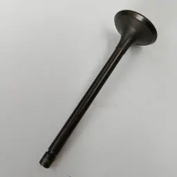 VALVE - INLET