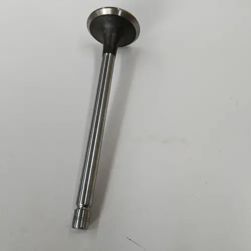 VALVE - EXHAUST