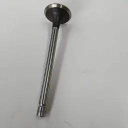 VALVE - EXHAUST