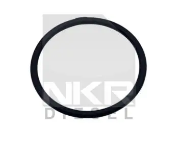 O-RING - BYPASS DUCT COOLANT